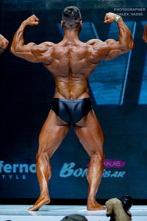 CLASSIC PHYSIQUE +178